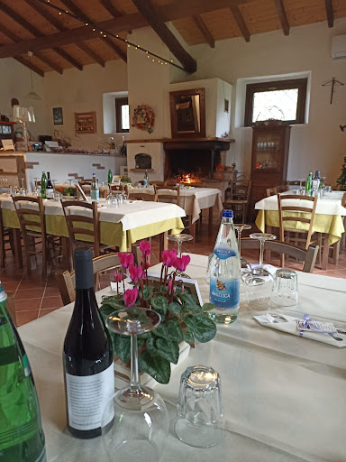 CentOlivi - Visual