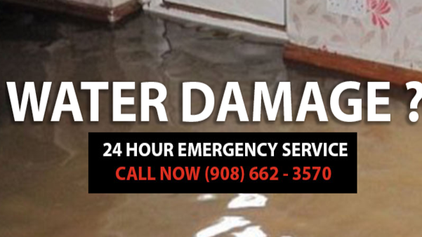 Royal Emergency Disaster Recovery Inc photo