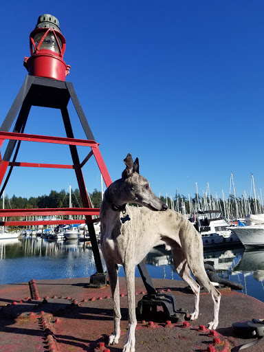 Royal Victoria Yacht Club - Tsehum Haven - Thumbnail