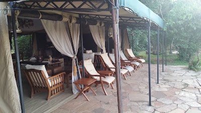 Photos of Ilkeliani