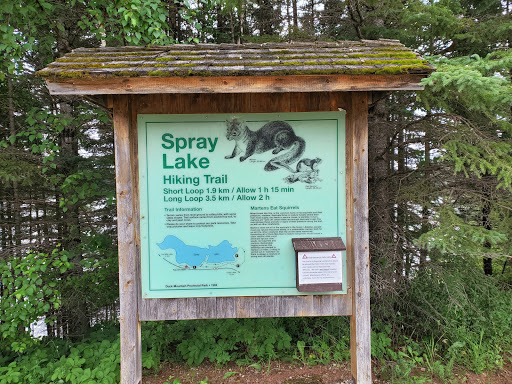 Spray Lake Hiking Trail Gallery - Canada