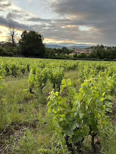 Photo de Espace des Brouilly à Saint-Lager (69220)