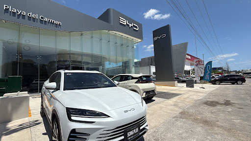 BYD Asesoría Monica Ortega