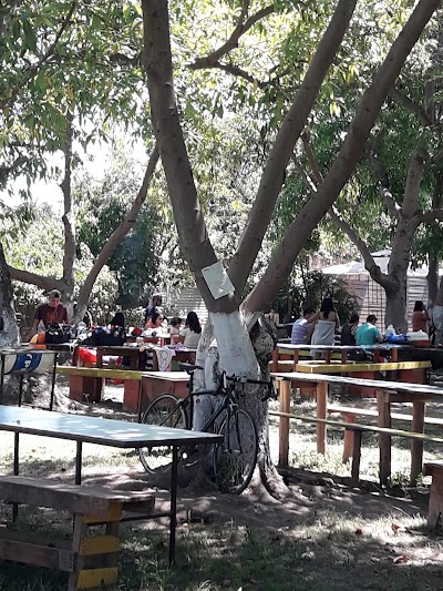 Photos of Piscina Los Paltos