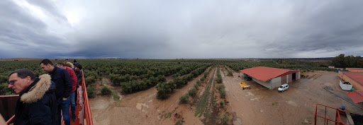 Aceite De Oliva Valderrama S L - Thumbnail