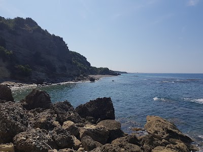 Castle Beach