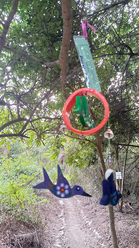 Little Free Library Guayabitos / Pequeña biblioteca gratuita - Thumbnail