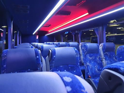 Firefly Express - Visual