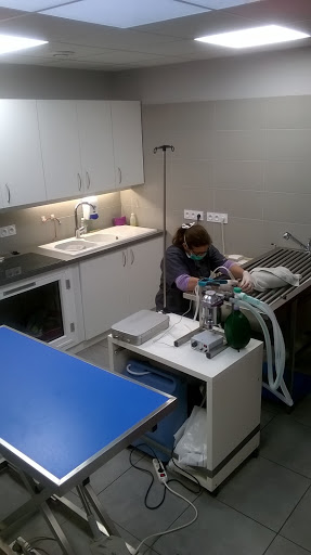 Clinique Vétérinaire de La Croix de l'Épine - Thumbnail