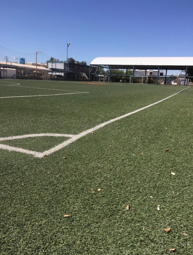 Instituto Halil S.C. - Thumbnail