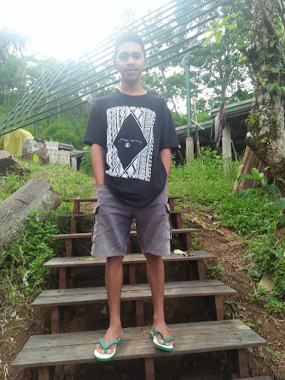 lodging