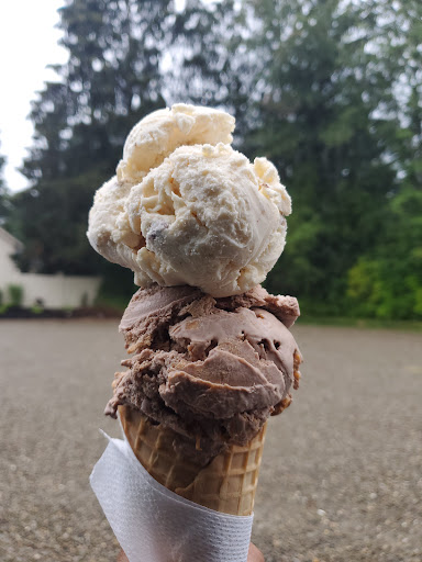 Big Tree Soft Serve Ice Cream - Thumbnail