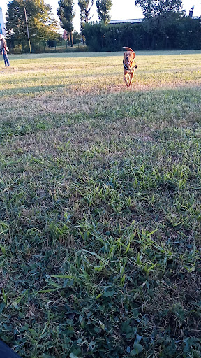 Area Cani del Centro Sportivo di Gorle - Thumbnail