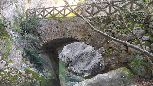 Poza Río Purón - Thumbnail