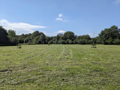 Joan's Field - Visual