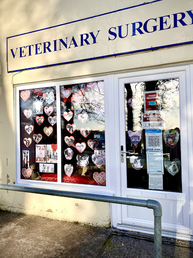 Rhyn Park Vets - Thumbnail