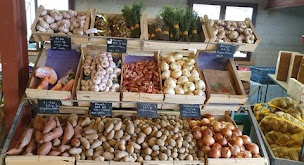 Photo n°9 de Fillols Bernard à Pia (Maraîcher)