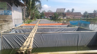 Photos of KCK NET