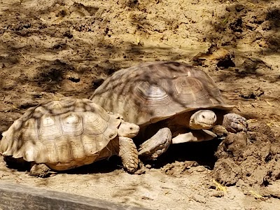 Harmony Park Safari