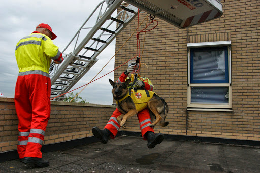 Fire Station Drachten-Loswal Gallery - Netherlands