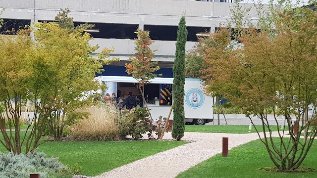 Chibu's FoodTruck