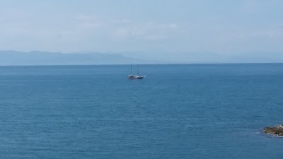 Photos of Aqua Blue