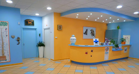 Clinica Veterinaria Città di Bari - Rep. 24h