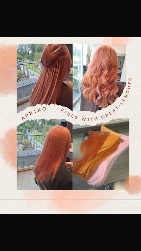 Friseursalon Schmitz