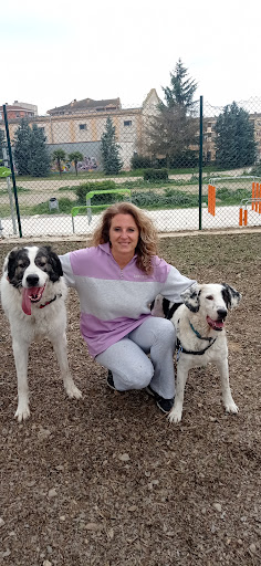 Hotel para perros Cuidado y Paseo a tu perro monzon