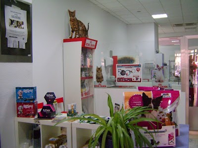 Photos of OC&Eacute;ANO Cl&iacute;nica Veterinaria