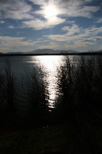 Villeneuve de la Raho - Thumbnail