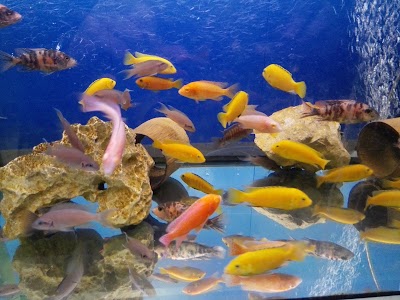 Photos of Aquarium Ltd.