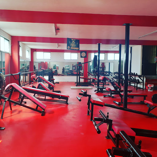 Westtin Gym Gallery - Mexico