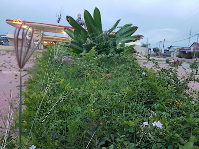 Photos of សួរច្បារ ស្វាយអន្ទរ