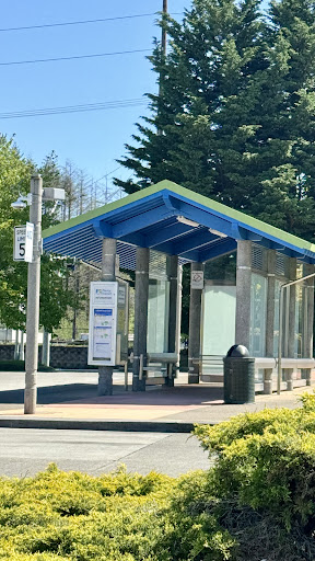 South Hill Transit Central