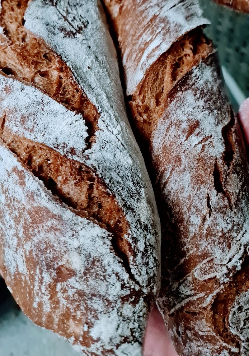 MOEGA Empanadas y pan gallego — photo 6