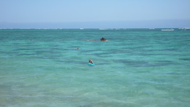 Oyster Stacks Snorkelling Area