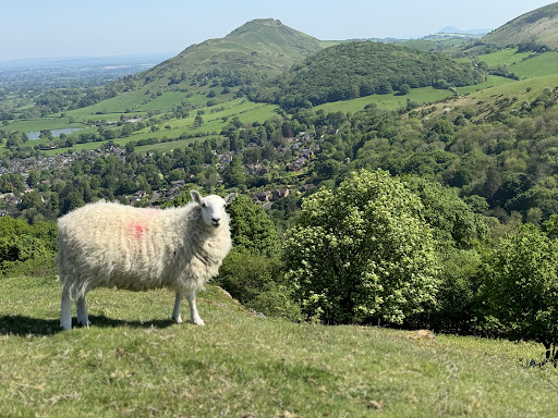 Ragleth Hill - Thumbnail