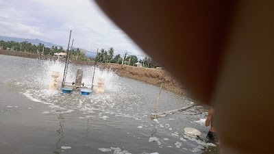 Photos of Rangkang Amren Iskandar