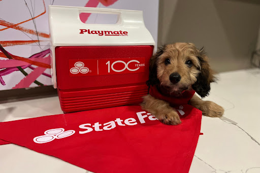 Neil Daly - State Farm Insurance Agent - Thumbnail