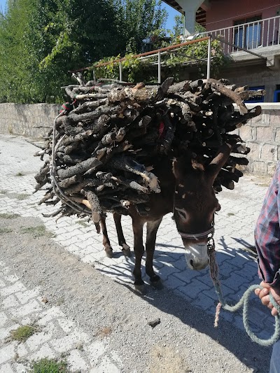 Akdağmadeni Şehitler Ormanı