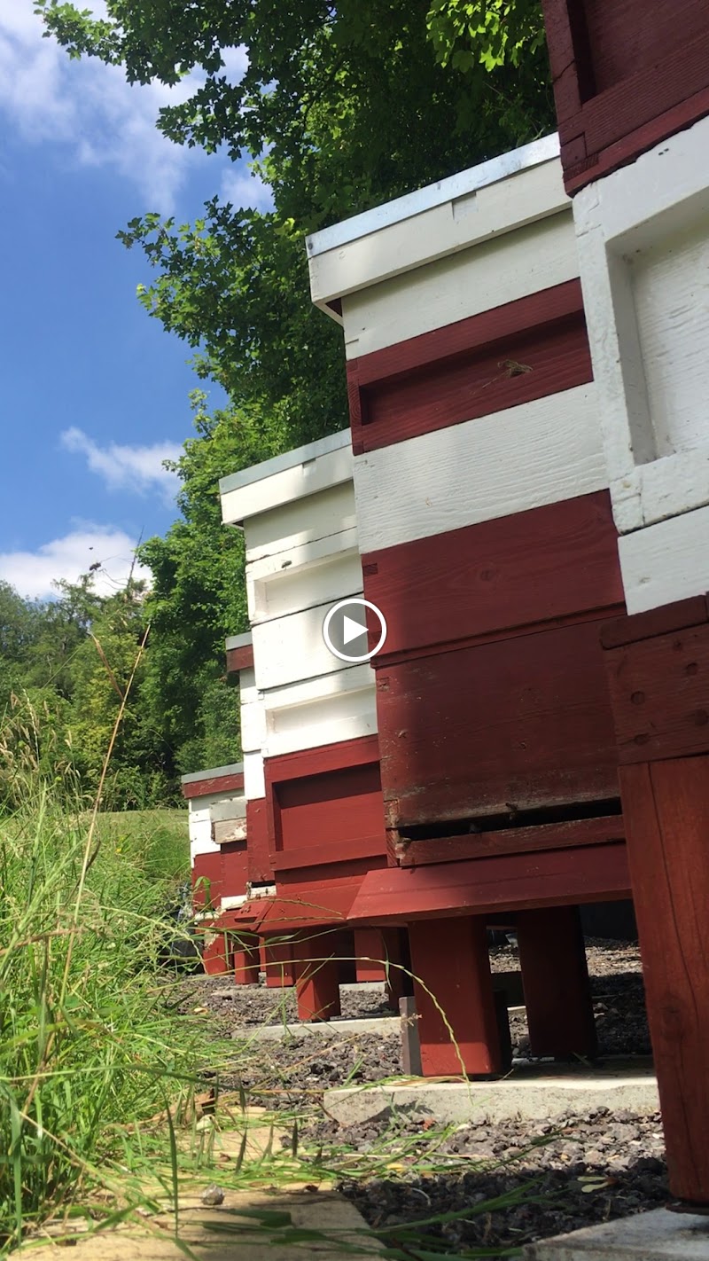 The Hive Honey Shop photo 2