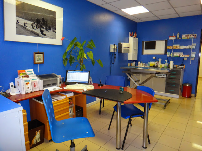 334 Bd Dr Cuneo, 83000 Toulon, France