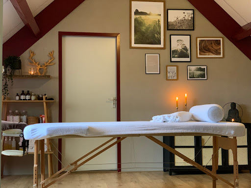 WillowWellness - Visual