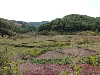 Photos of Water Fall Nam Dee