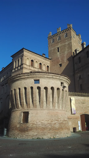 Biblioteca dei Ragazzi Il Falco Magico - Thumbnail