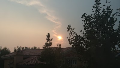 Photos of コスタ