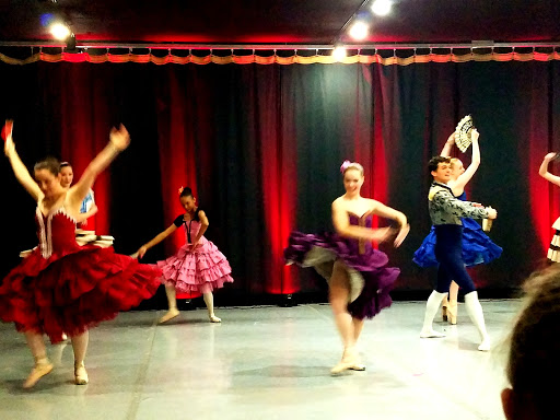 Roanoke Ballet Theatre Inc - Thumbnail