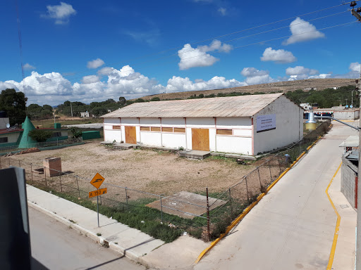 Centro de acopio El Tepetate SEGALMEX - Thumbnail