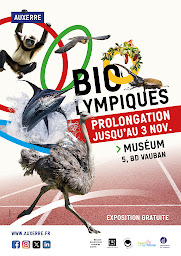 Photo n°26 de Muséum d’Auxerre à Auxerre (Attraction touristique)